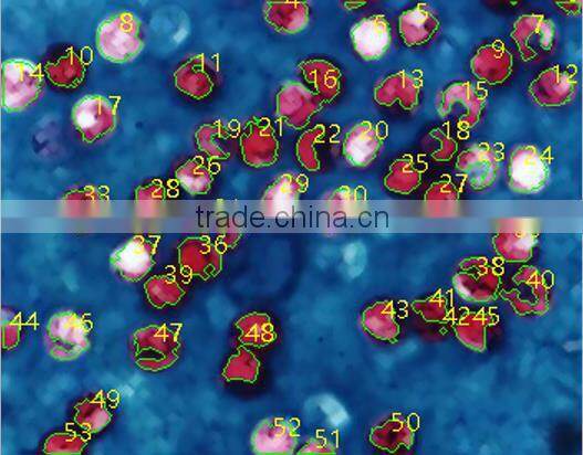 ToupView for ToupCam Camera