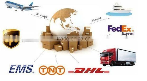 2016 newest personal transporter citycoco 2 wheels off road electric motorcycle