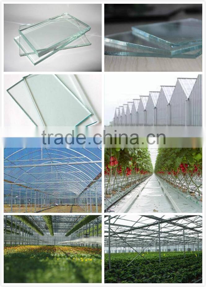 6mm tempered ultra clear greenhouse glass