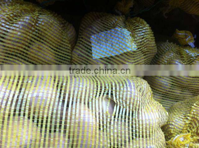 Sell 2013 Fresh holland potato