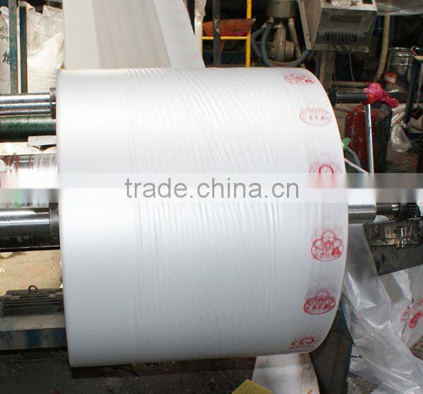 Anti-fog Plastic vegetable bag