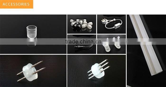 Special Decoration Amer 12V LED Rope Light