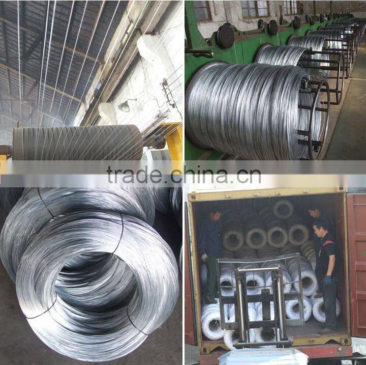 Electro galvanized wire & Hot-dipped galvanized wire