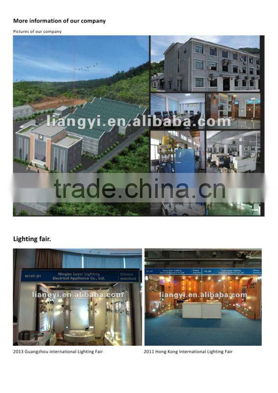 stainless steel IP68 CE ROHS led lawn garden light