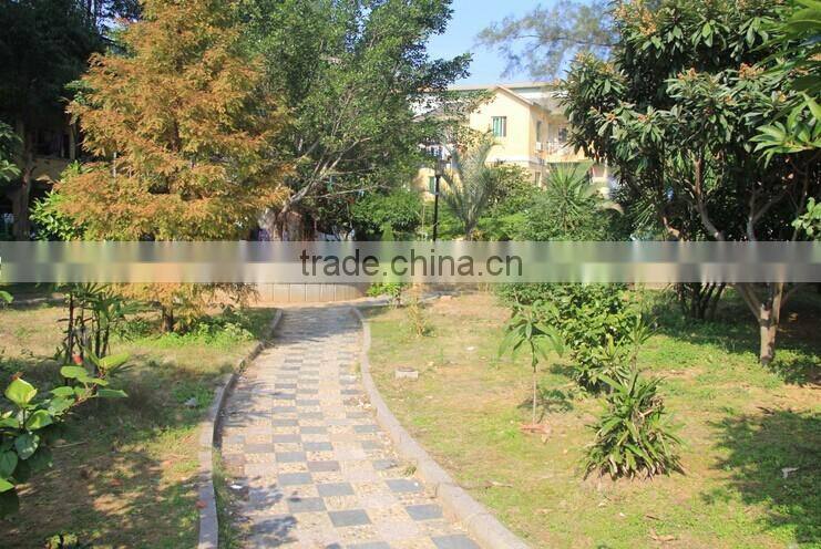 girls high heel barefoot sandals