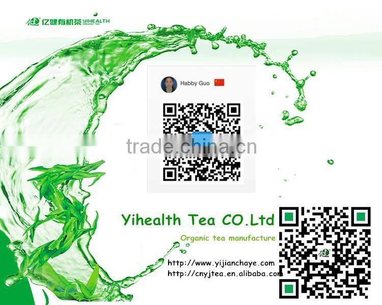 Quality guaranteed fresh Green Tea leaves organic/green tea bags bulk