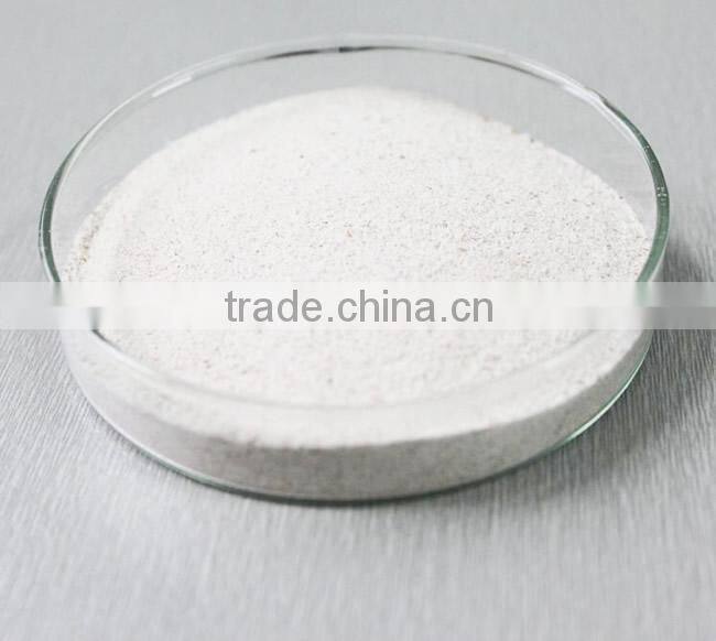 Alkaline protease apply to feed additive