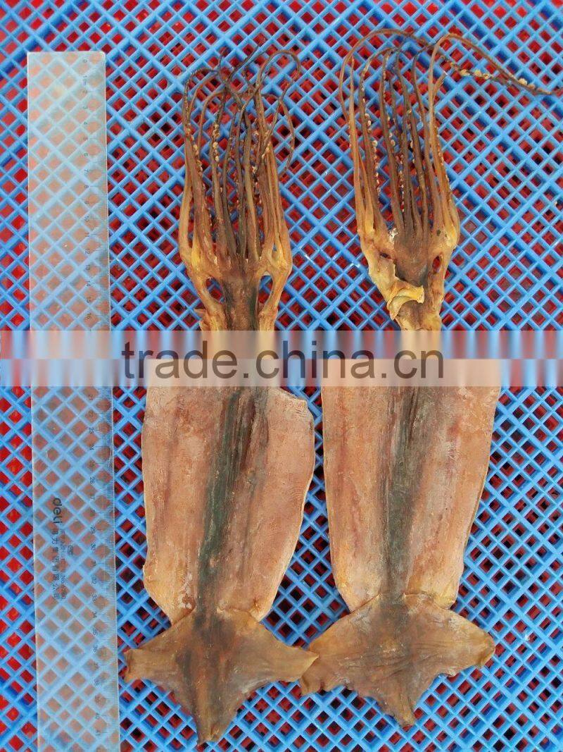 High Qulity Dry Squid for Sale
