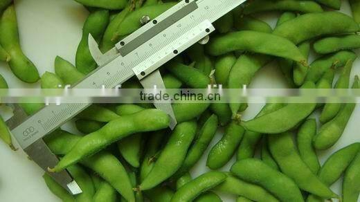IQF Fresh Soybeans