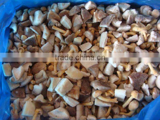 Chinese IQF frozen oyster mushroom