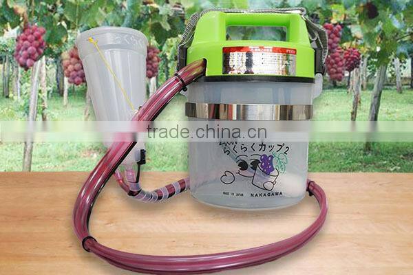 Gibberellin treatment tool for making Grape juice from Seedless Grapes