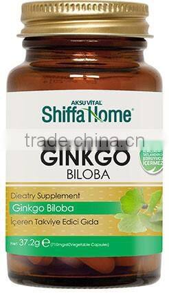 Ginkgo Leaf Brain Supplements