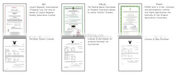 Fertilizer Premium grade High Granular Organic matter NPK OM20%