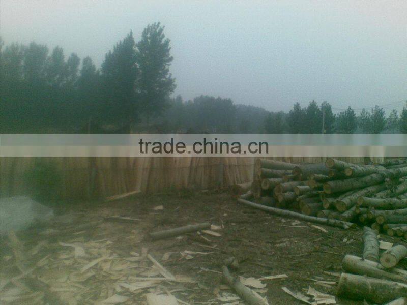 Automatic cutting combined machine/veneer peeling lathe with high efficiency