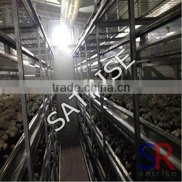 vertical laminar flow cabinet stainless steel racks
