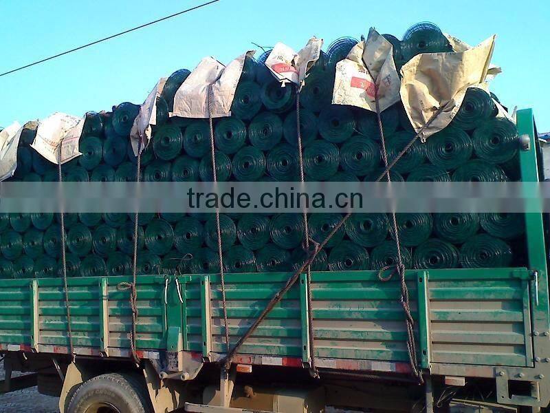 green pvc coated welded holland wire mesh