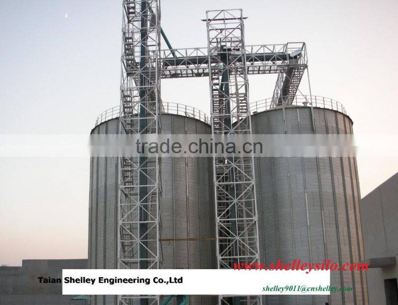 z type food grade bucket elevator