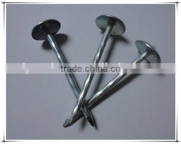 1.5"*14G Umbrella Head smooth plain Shank Roofing Nail china factory
