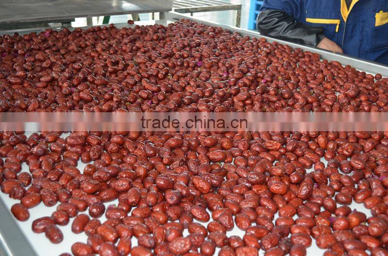 Red dates multiple layer stainless steel conveyor dryer
