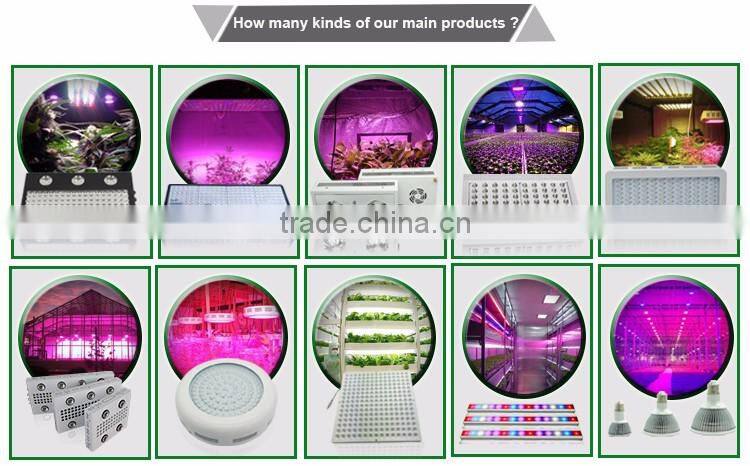 High power quality hydroponics LED Grow Lighting COB indoor growing light