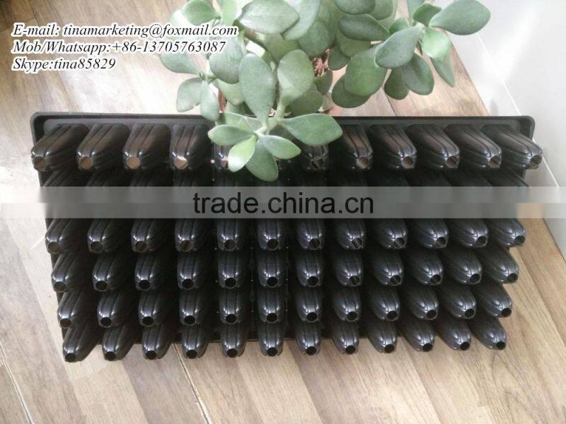 9CM Deep 72 Cells High Quality Black PS Plastic Nursery Seed Growing Tray for Forest Seedling Propagation