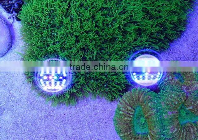 Hot selling programmable full spectrum sunrise and sunset coral reef used led aquarium light
