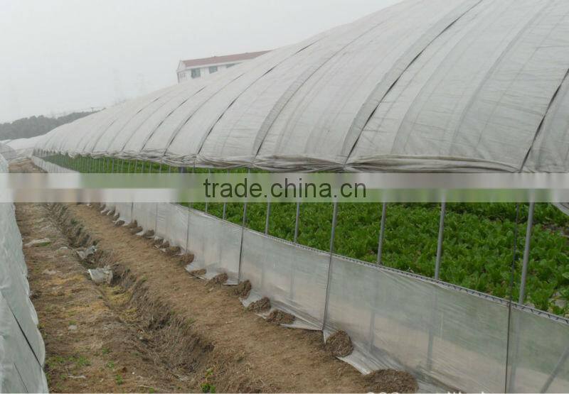 Anti UV Anti drip Anti aging PE Film Greenhouses for Vegetable