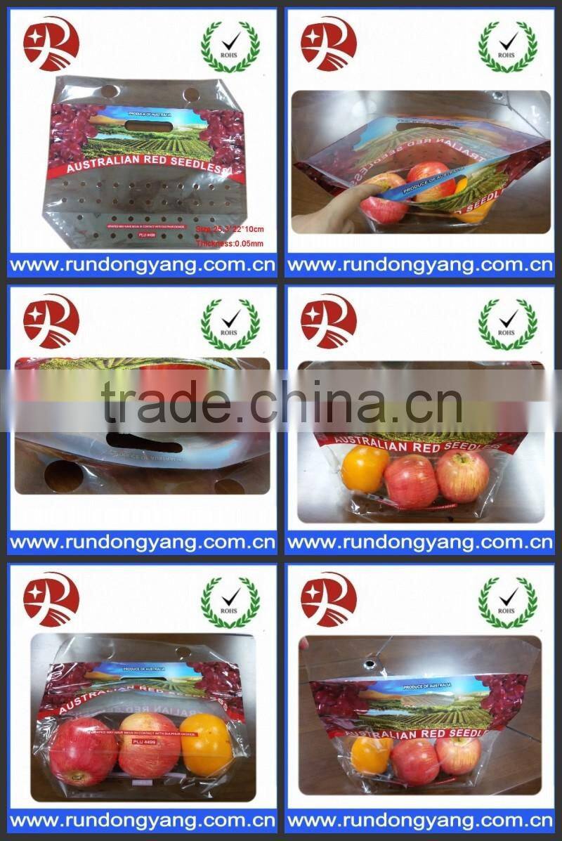 stand up pouch zipper fruit packing bag with air holes and handle