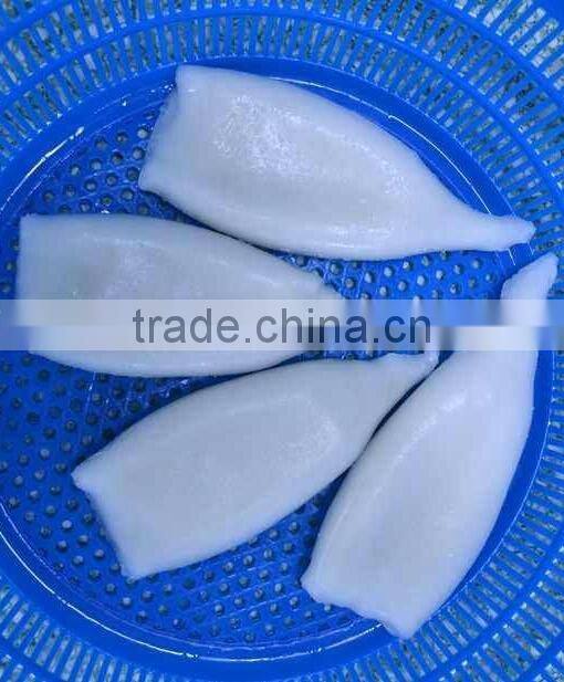 Frozen Squid Tube U5