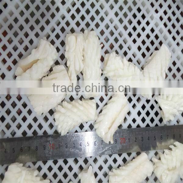 best season iqf cooking live squid for sale