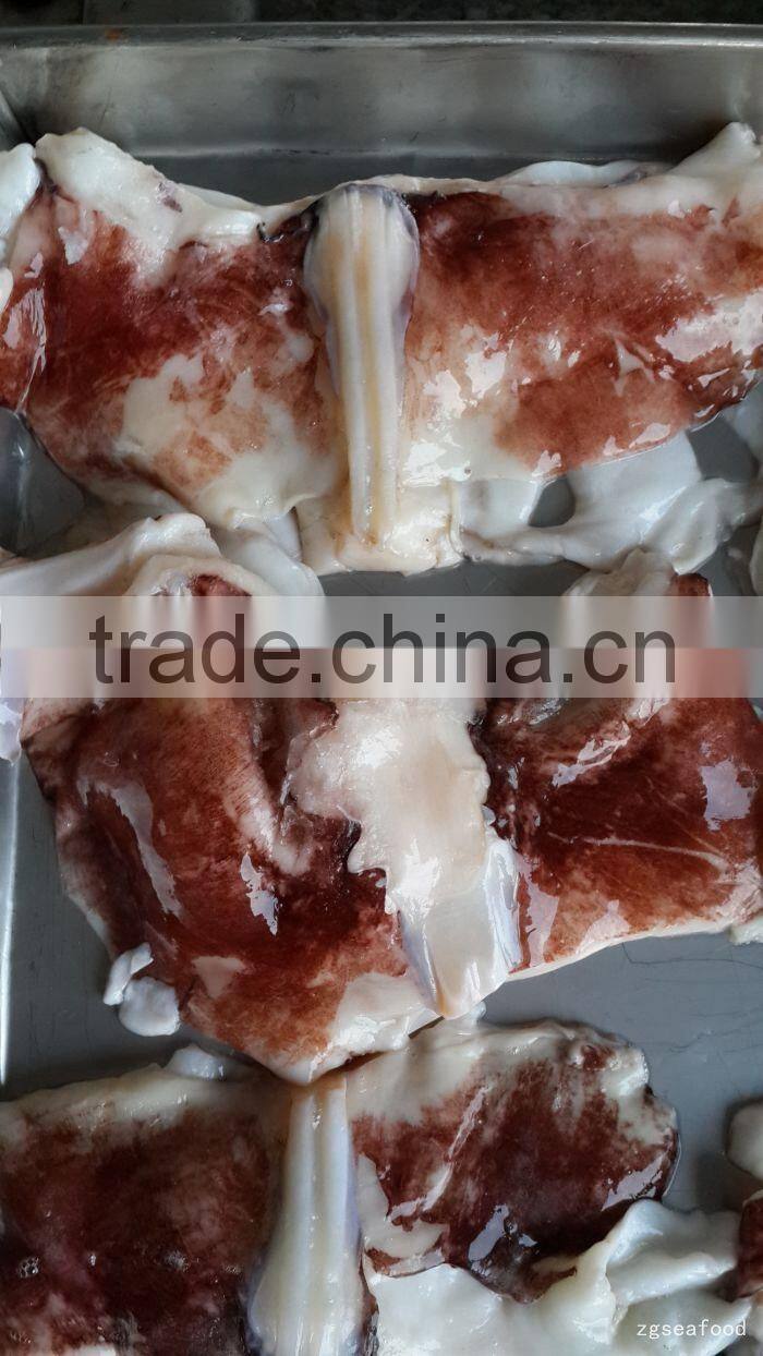 hot sale frozen giant squid neck