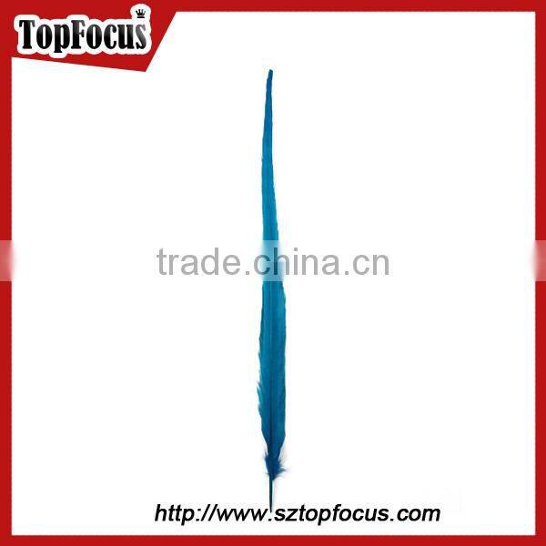 50-55cm assorted color dyed Pheasant tail feathers