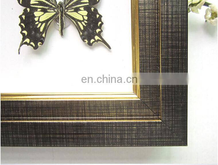 butterfly collection frame for home decoration use