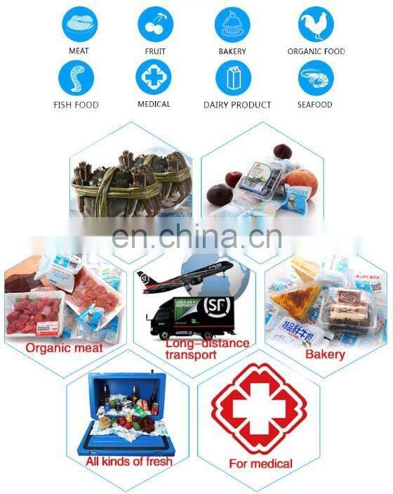 Automatic Techni Ice 2 Ply HD Dry Ice Packing Machine