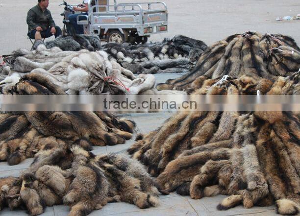 Real racccon Fur fabric Raw Skin animal Fur skin for sale