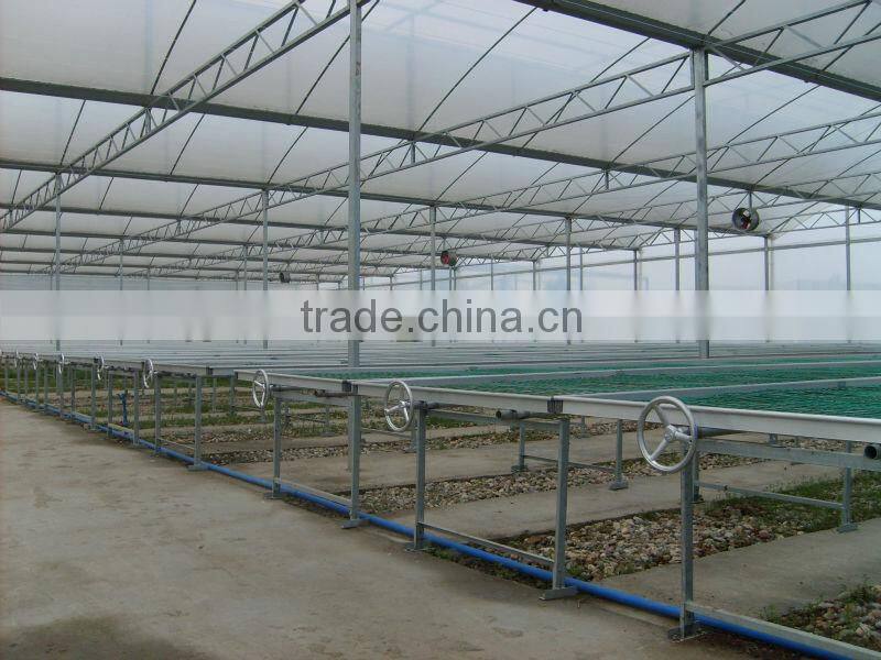 tomato greenhouse for sale