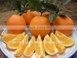 Chinese Navel orange for sale
