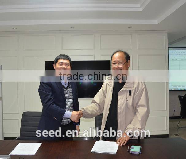 High Resistance TY Tomato Pink Tomato Seed