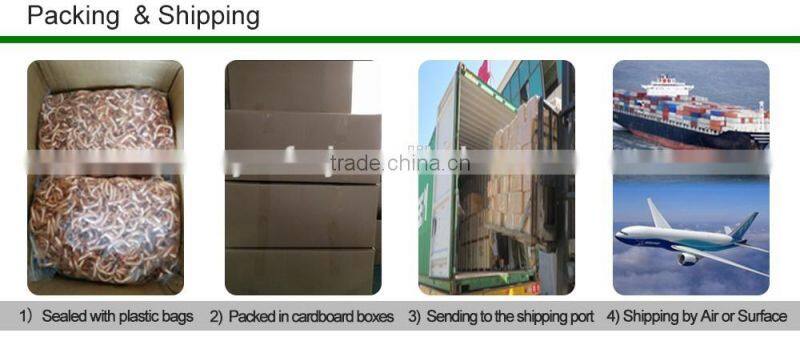 Plumbing Fittings Drop Ear Flange Adapter