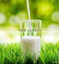 Good ingredient use for ice cream Non dairy creamer factory