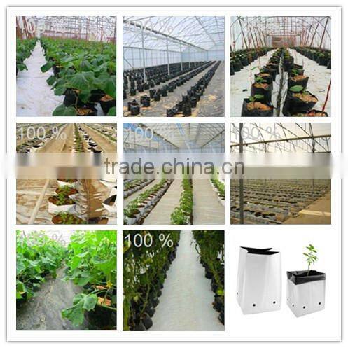 Cheap black plastic bag for planting and growing