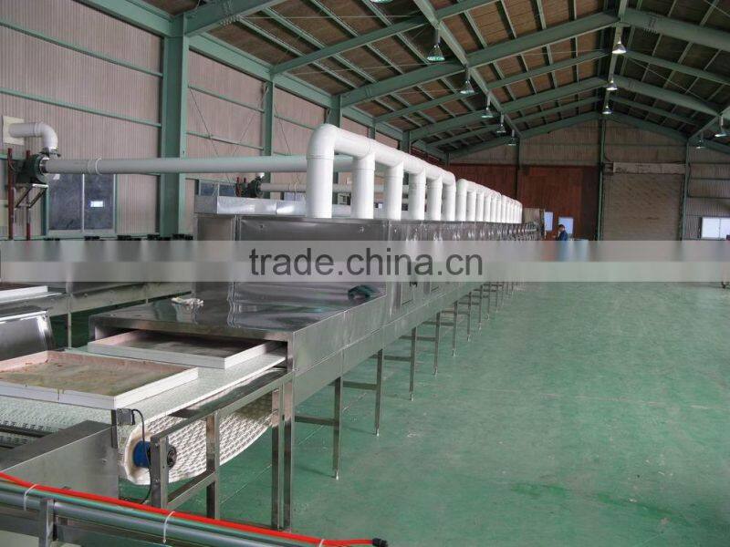 fruit chips production line