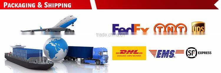 Dependable Performance Printing Ciss Ink For Canon s300