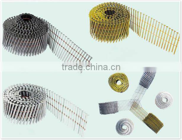 direct factory roofing coil nails / coil nail /china coil nail