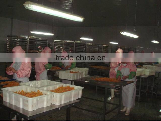 natural pet dog treat food dry chicken fillet with cheese pet food