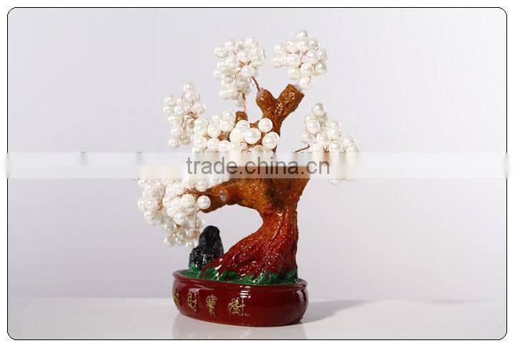 Chinese Money Trees hot sales
