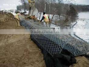 Xinxiang competitive Hexagonal Wire Netting