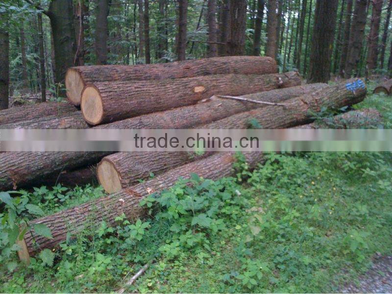 modern european style wooden chairs