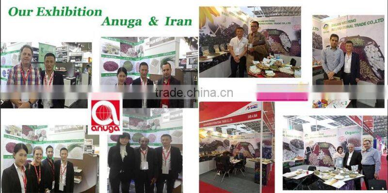 Exporting 363 sunflower seeds with good price