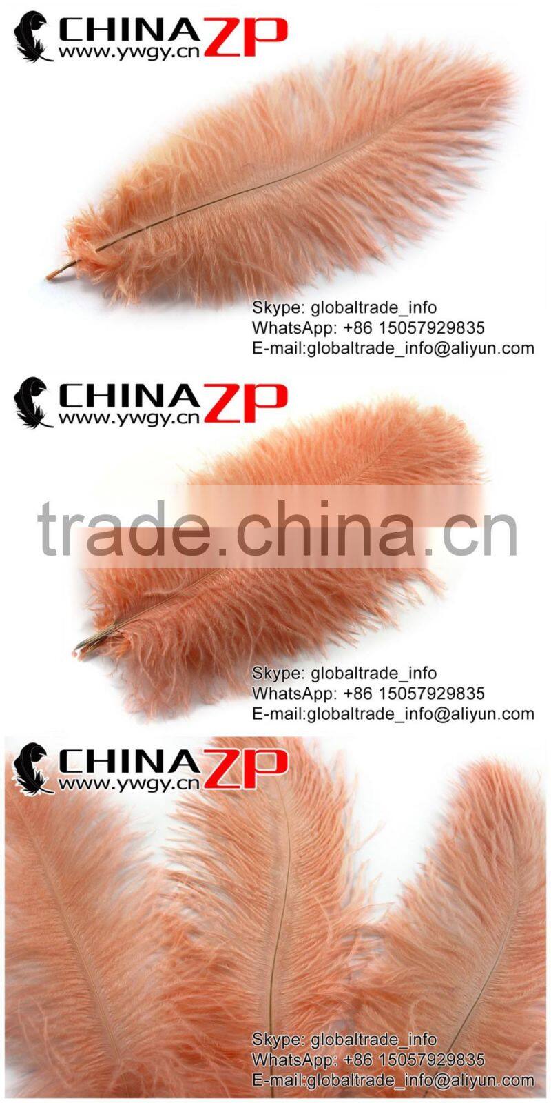 ZPDECOR Trade Assurance Leading Supplier Wholesale Size from 50-55cm Cheap Dyed Champagne Ostrich Feather